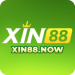 xin88now