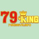 79kingvninfo