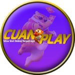 cuanplay1b