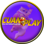 cuanplay1q