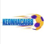 Keonhacai - Tỷ lệ kèo nhà cái trực tuyến hôm nay